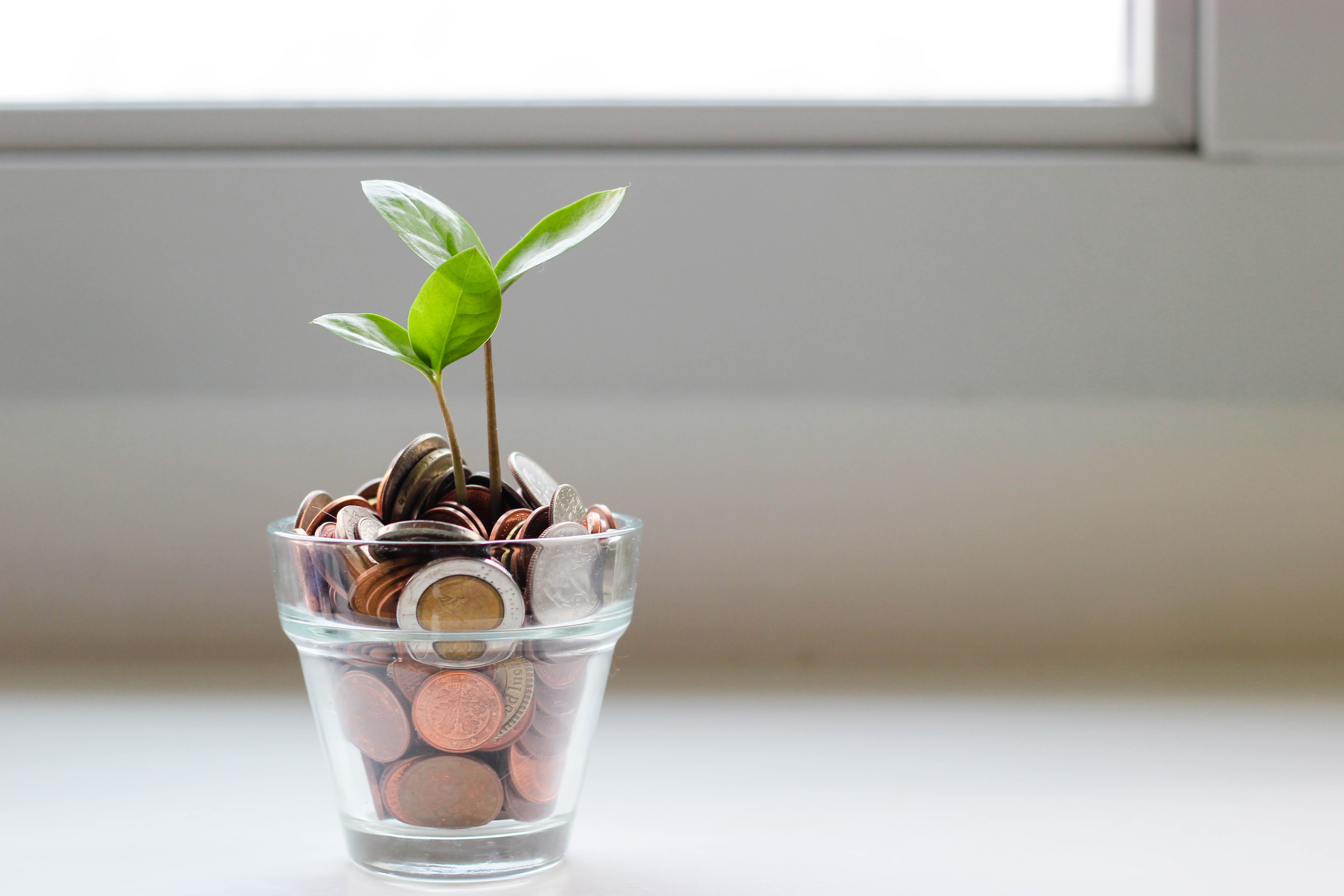 Four lessons learned growing our business and how we tracked information for growth